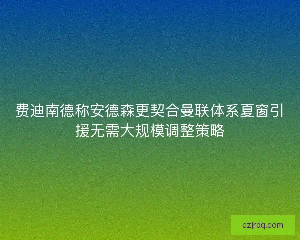 费迪南德称安德森更契合曼联体系夏窗引援无需大规模调整策略